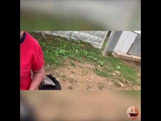 young man filmed, staged, video, destroys, woman, vegetables, swears, attention, blog,